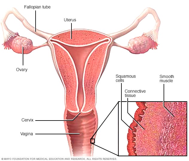 cancer photos vagina