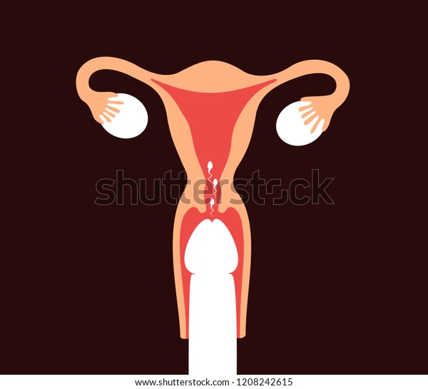 pictures vagina of penetration penis