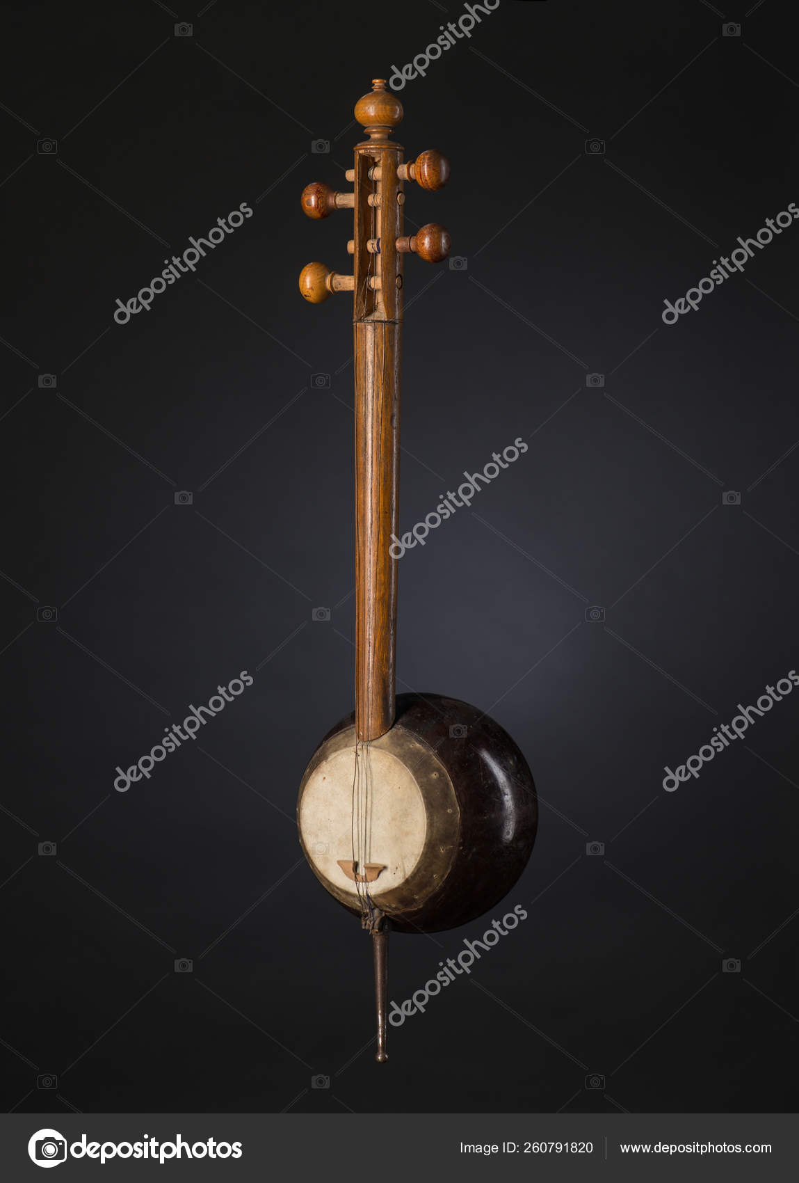 asian music string instrument