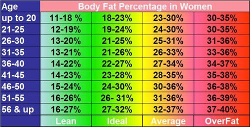 women average percentage for fat body