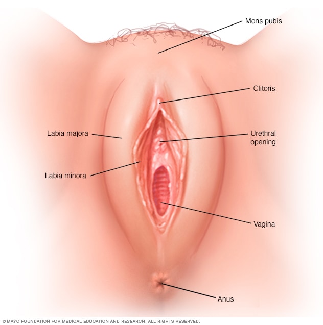 healthy vagina pics