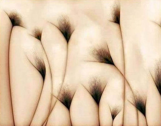 naked woman illusion
