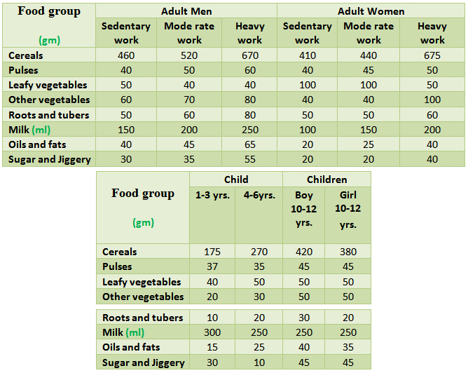 of balanced adult diet an person chart