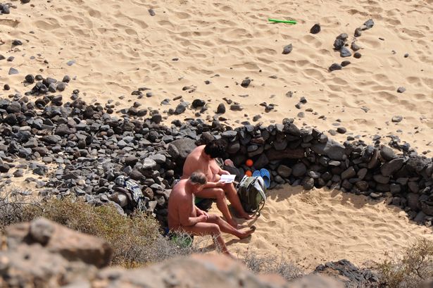 beach tanning nudist