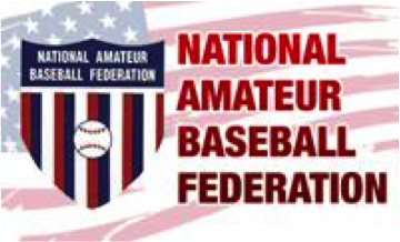 amateur baseball national federation