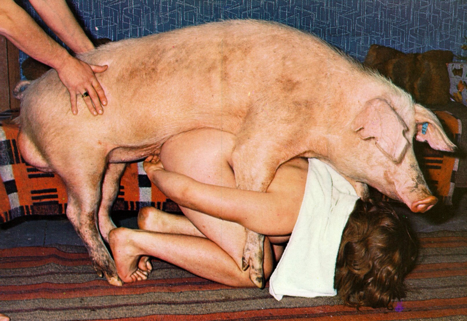 women sex boar